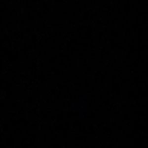 Meet your Posher, Joey